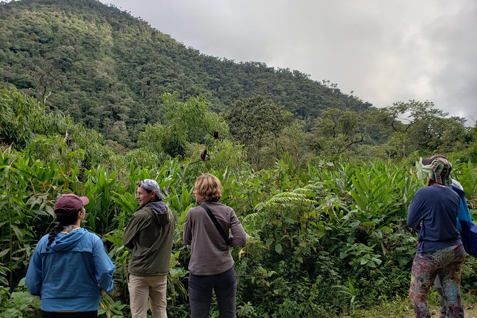 Manu National Park Tour 4days/3night - Three meals a day, with one early exception