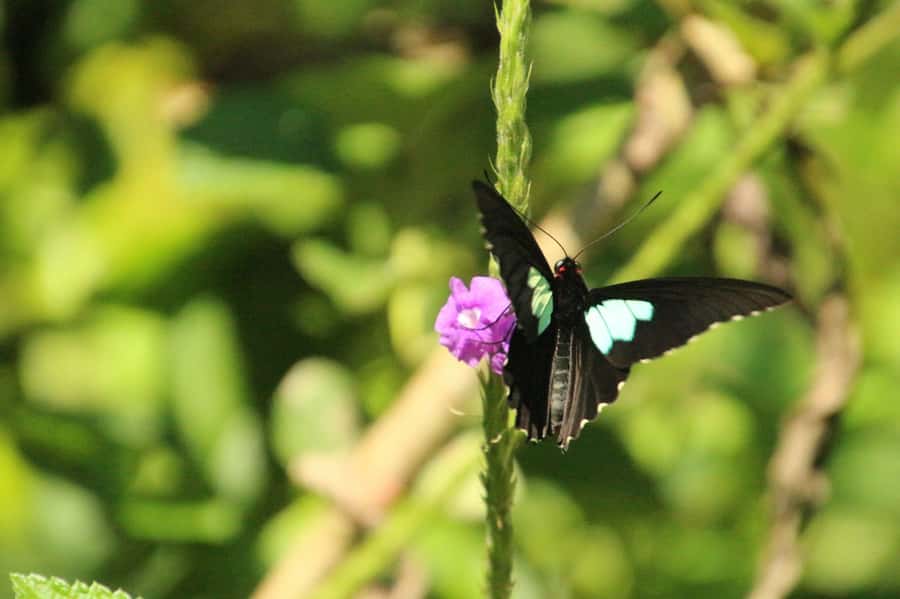 Manu National Park Tours from Cusco 5 Days - The small-group format and guide support
