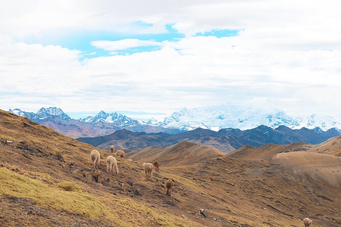 Palccoyo Rainbow Mountain Full Day Tour from Cusco - Reaching Palccoyo and walking to the viewpoints