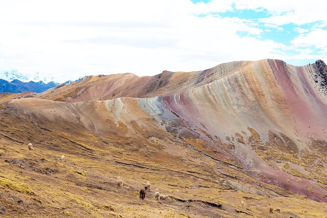 Palccoyo Rainbow Mountain Full Day Tour from Cusco - Is $65 a fair price?