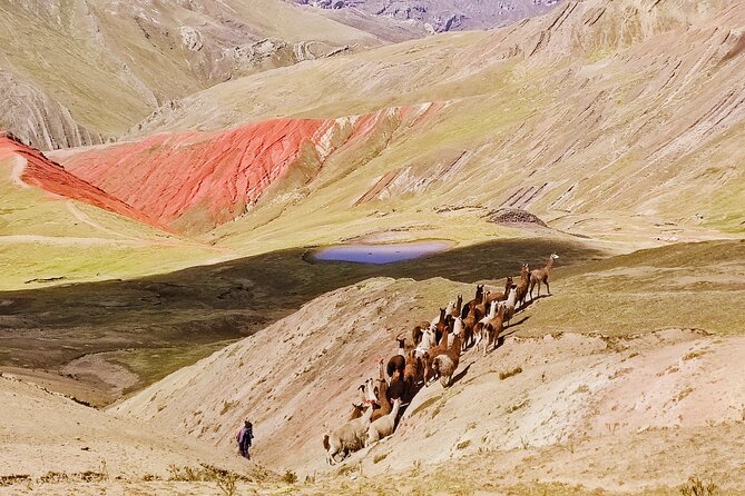 Palccoyo Rainbow Mountains Full Day Tour from Cusco - Who will enjoy this long mountain day