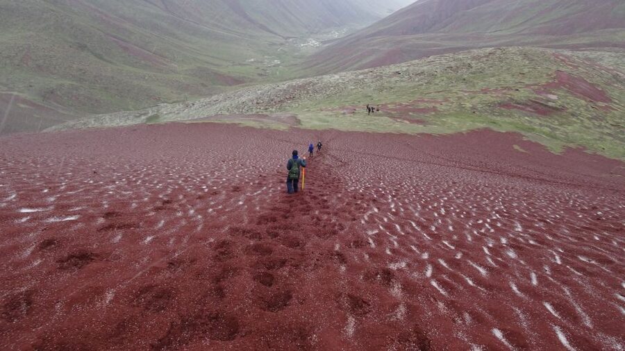 Peru: Rainbow Mountain and Red Valley View Point Tour - A long day on the road, with useful meals included
