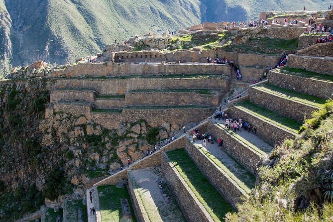 Private Tour: 6 days|| Cusco || MachuPicchu ||Rainbow Mountain|| - Day 3: Machu Picchu and the train back to Cusco