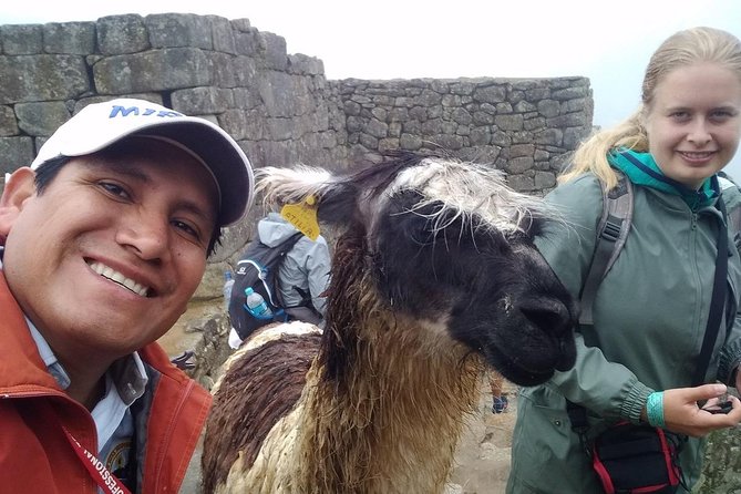 Private Tour Guide in Machupicchu from Aguas Calientes. - Who should book this experience