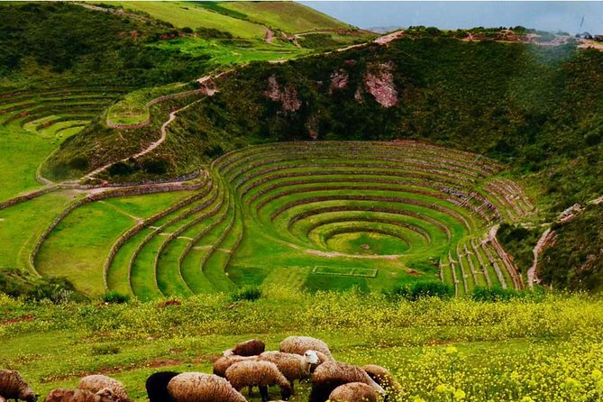 Private Tour Sacred Valley, Chinchero, Maras Moray, Ollantaytambo - Urubamba lunch and the day’s biggest question
