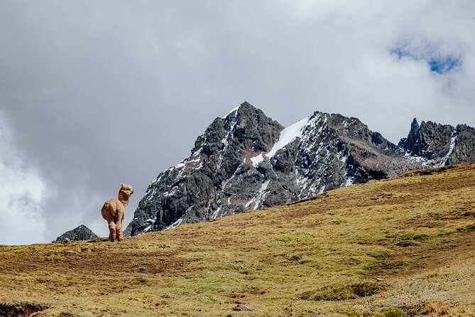 Rainbow Mountain and Red Valley Hike – 2 Days / 1 Night - Day two starts with coca tea and a one-hour walk