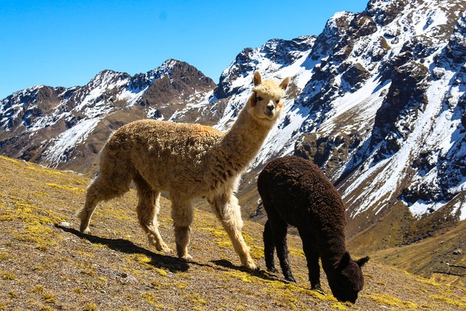 Rainbow Mountain in Cusco Full Day Tour - Breakfast in Pitumarca before the hard part