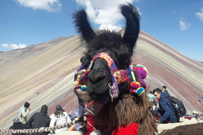 Rainbow Mountain Tour Vinicunca (Full Day) - Guides, pacing, and the value of a small group