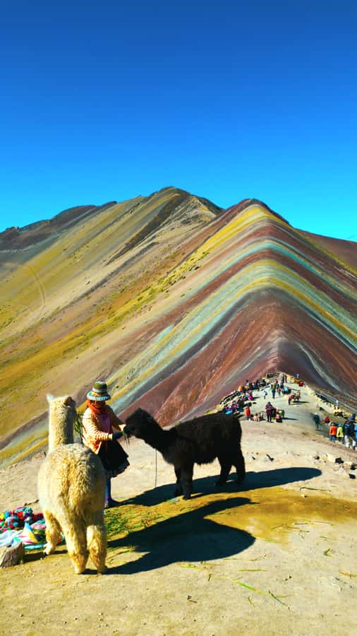 rainbown mountain Vinicunca 1 day - Leaving Cusco before sunrise