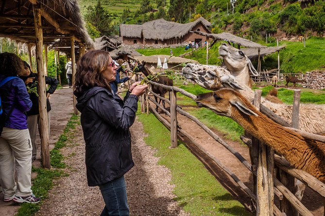 Sacred Valley and Machu Picchu Tour in 2 days with Peru Vip - The train to Aguas Calientes