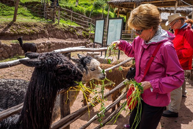 Sacred Valley and Machu Picchu Tour in 2 days with Peru Vip - An early start for Machu Picchu