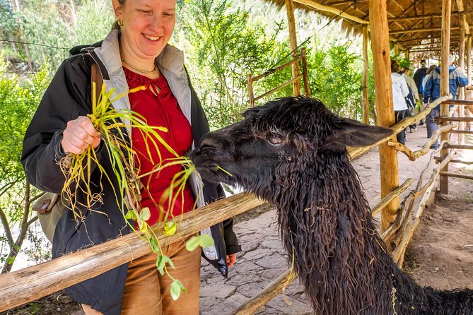 Sacred Valley and Machu Picchu Tour in 2 days with Peru Vip - What makes Machu Picchu worth the rushed schedule
