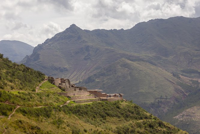 Sacred Valley - Pisac and Ollantaytambo day tour - Alpacas and vicuñas at Manos de la Comunidad
