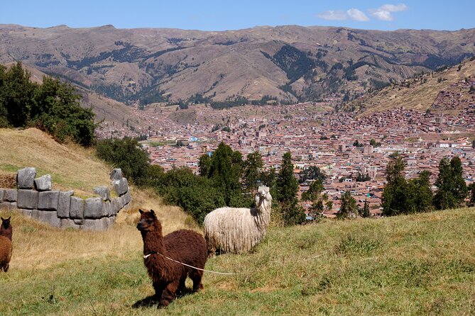 Sacsayhuaman Temple, Tambomachay and Puca Pucara Half-Day Tour - The shopping-stop problem