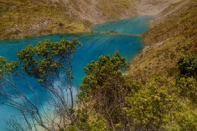 Salkantay Trek: 5 Days to Machu Picchu - Day 4: Walking from Hydroelectric to Aguas Calientes
