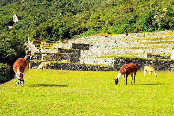 Small Group: 4-Day Inca Trail Trek to Machu Picchu - What the $850 price really covers