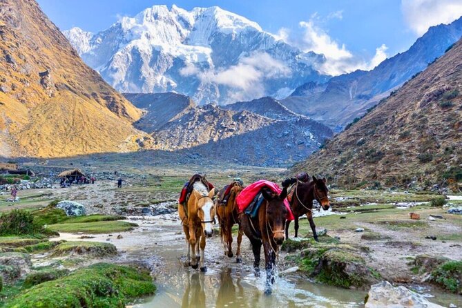 Small Group 5 Days Salkantay and Machu Picchu by Llactapata Tour - Day 4: Llactapata and the walk to Aguas Calientes