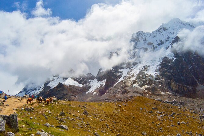 Small Group 5 Days Salkantay and Machu Picchu by Llactapata Tour - Day 5: The first morning at Machu Picchu