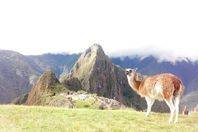 Small-Group Day Tour to Machu Picchu - Entering Machu Picchu with a guide