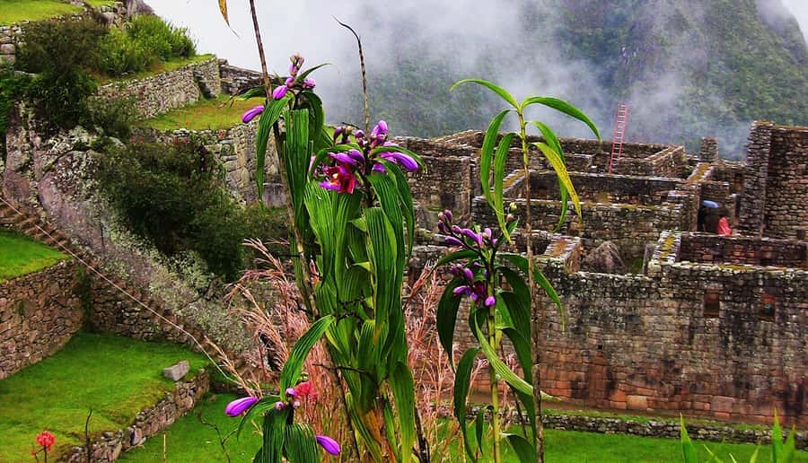 Tour Machu Picchu + Mountain of Huayna Picchu 2 days - An afternoon in Aguas Calientes