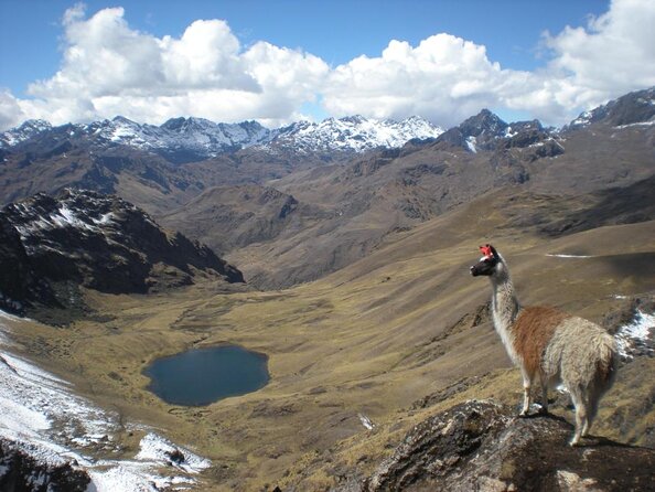 Ultimate Lares Trek & Inca Trail 5 days - Key points to know before booking