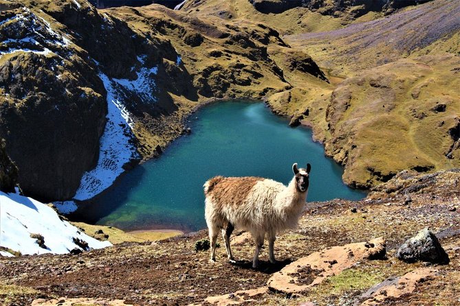 Ultimate Lares Trek & Inca Trail 5 days - What the $980 price means