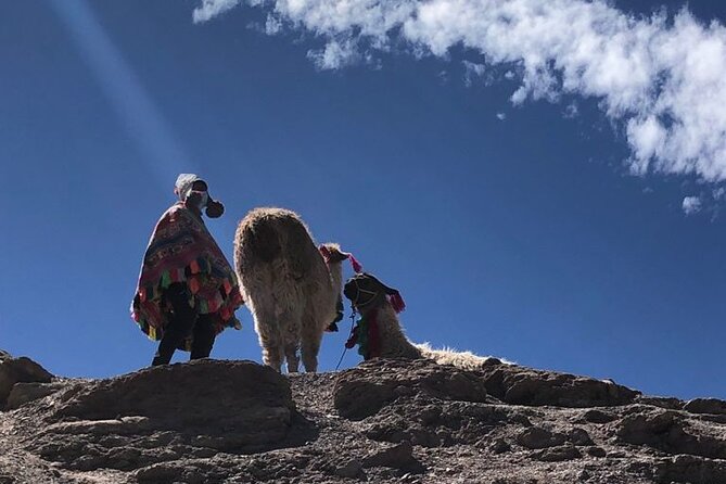 Vinicunca Rainbow Mountain Full-Day Tour from Cusco - The descent and the long ride back